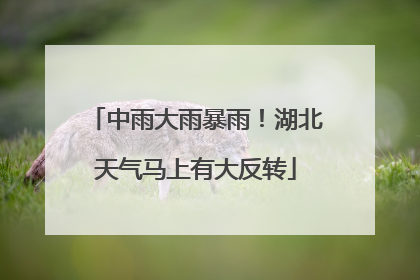 中雨大雨暴雨！湖北天气马上有大反转