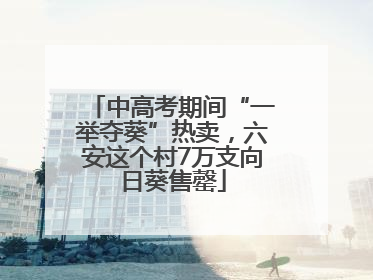 中高考期间“一举夺葵”热卖，六安这个村7万支向日葵售罄