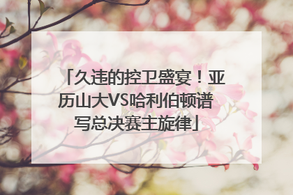 久违的控卫盛宴！亚历山大VS哈利伯顿谱写总决赛主旋律