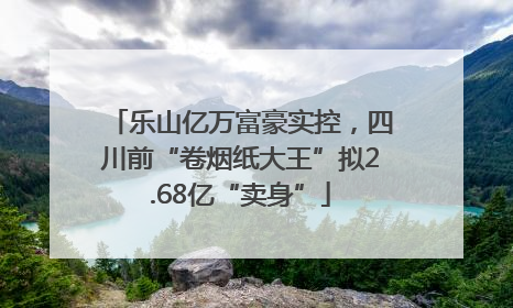乐山亿万富豪实控，四川前“卷烟纸大王”拟2.68亿“卖身”