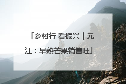 乡村行 看振兴｜元江：早熟芒果销售旺