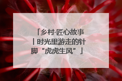 乡村·匠心故事丨时光里游走的针脚“虎虎生风”