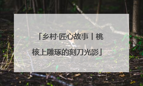 乡村·匠心故事丨桃核上雕琢的刻刀光影