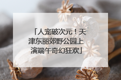 人宠破次元！天津东丽郊野公园上演端午奇幻狂欢