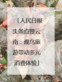人民日报头条点赞云南：观鸟旅游带动多元消费体验