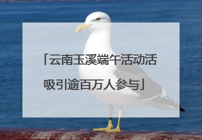 云南玉溪端午活动活吸引逾百万人参与
