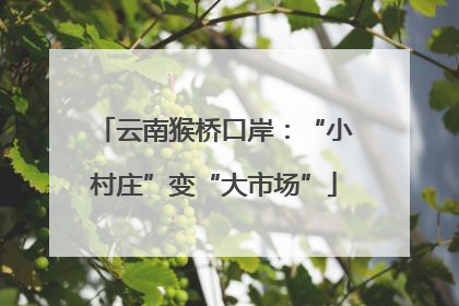 云南猴桥口岸：“小村庄”变“大市场”