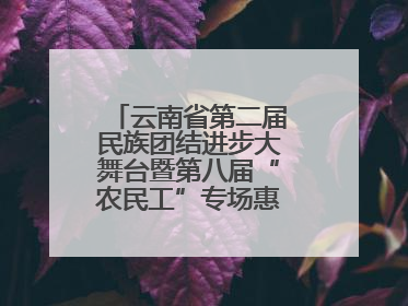 云南省第二届民族团结进步大舞台暨第八届“农民工”专场惠民演出启幕