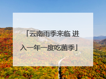 云南雨季来临 进入一年一度吃菌季
