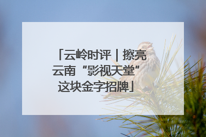云岭时评｜擦亮云南“影视天堂”这块金字招牌