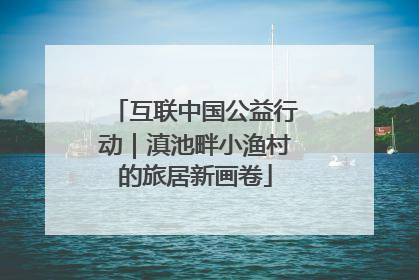 互联中国公益行动｜滇池畔小渔村的旅居新画卷