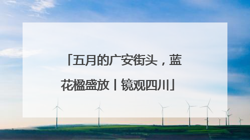 五月的广安街头，蓝花楹盛放丨镜观四川