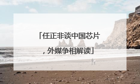 任正非谈中国芯片，外媒争相解读