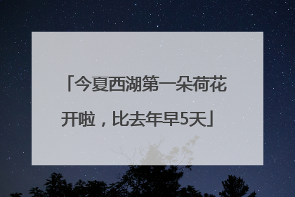 今夏西湖第一朵荷花开啦，比去年早5天