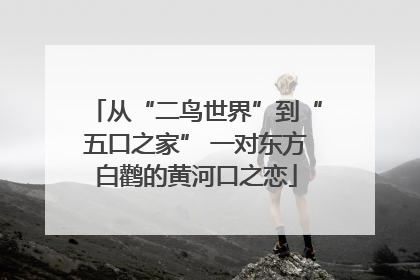 从“二鸟世界”到“五口之家” 一对东方白鹳的黄河口之恋