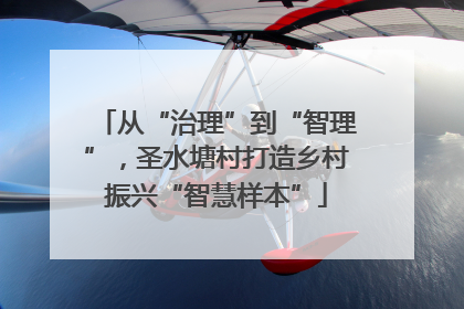 从“治理”到“智理”，圣水塘村打造乡村振兴“智慧样本”
