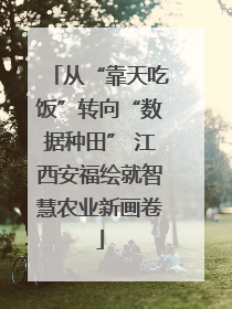 从“靠天吃饭”转向“数据种田” 江西安福绘就智慧农业新画卷