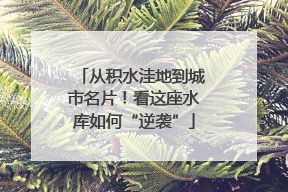 从积水洼地到城市名片！看这座水库如何“逆袭”