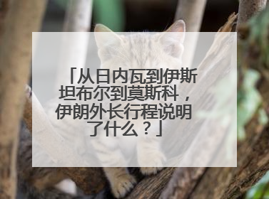 从日内瓦到伊斯坦布尔到莫斯科，伊朗外长行程说明了什么？