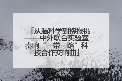 从脑科学到猕猴桃——中外联合实验室奏响“一带一路”科技合作交响曲