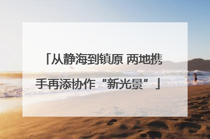 从静海到镇原 两地携手再添协作“新光景”