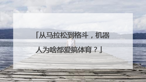 从马拉松到格斗，机器人为啥都爱搞体育？
