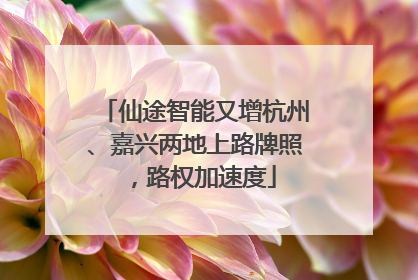 仙途智能又增杭州、嘉兴两地上路牌照，路权加速度