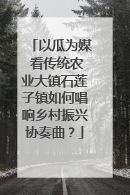 以瓜为媒 看传统农业大镇石莲子镇如何唱响乡村振兴协奏曲？