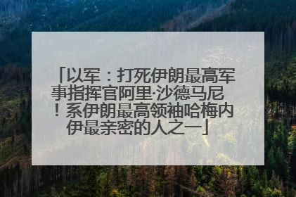 以军：打死伊朗最高军事指挥官阿里·沙德马尼！系伊朗最高领袖哈梅内伊最亲密的人之一
