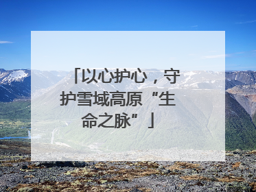 以心护心，守护雪域高原“生命之脉”
