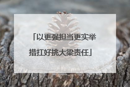 以更强担当更实举措扛好挑大梁责任