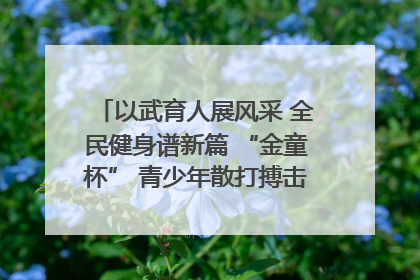以武育人展风采 全民健身谱新篇 “金童杯” 青少年散打搏击邀请赛圆满落幕