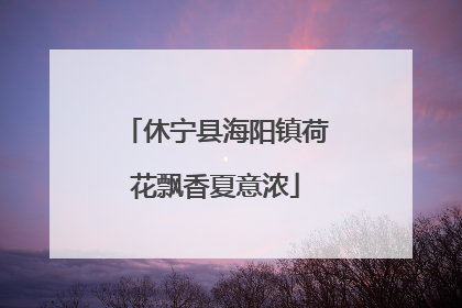 休宁县海阳镇荷花飘香夏意浓