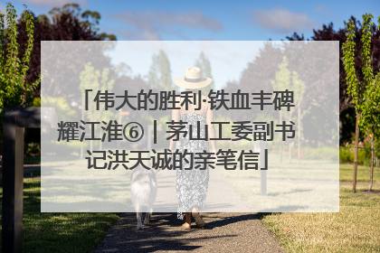 伟大的胜利·铁血丰碑耀江淮⑥｜茅山工委副书记洪天诚的亲笔信