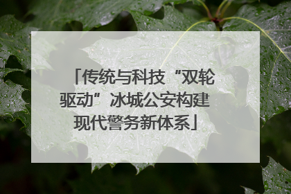传统与科技“双轮驱动”冰城公安构建现代警务新体系