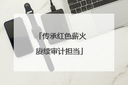 传承红色薪火 赓续审计担当