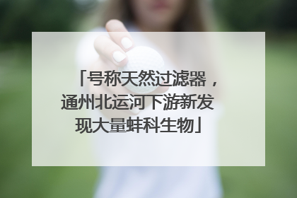 号称天然过滤器，通州北运河下游新发现大量蚌科生物