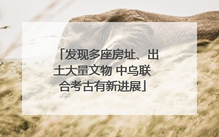 发现多座房址、出土大量文物 中乌联合考古有新进展