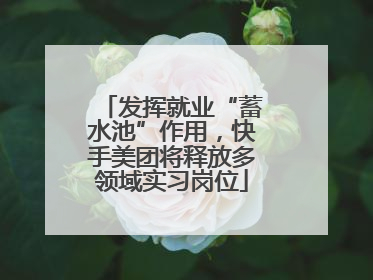发挥就业“蓄水池”作用，快手美团将释放多领域实习岗位