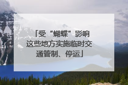 受“蝴蝶”影响 这些地方实施临时交通管制、停运