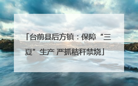 台前县后方镇：保障“三夏”生产 严抓秸秆禁烧