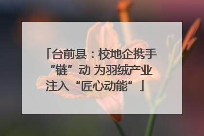 台前县：校地企携手“链”动 为羽绒产业注入“匠心动能”