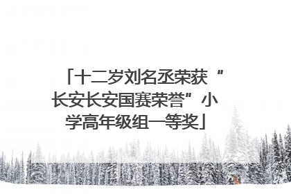 十二岁刘名丞荣获“长安长安国赛荣誉”小学高年级组一等奖