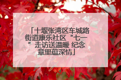 十堰张湾区车城路街道康乐社区“七一”走访送温暖 纪念章里蕴深情