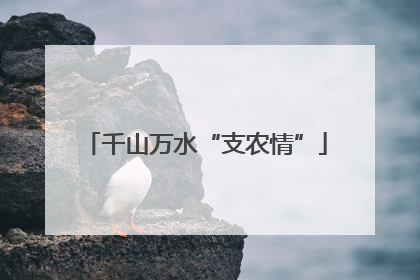 千山万水“支农情”