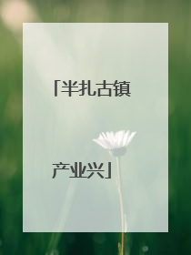 半扎古镇产业兴