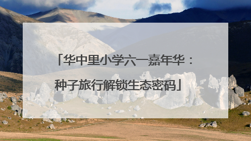 华中里小学六一嘉年华：种子旅行解锁生态密码