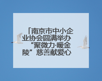 南京市中小企业协会圆满举办“聚微力·暖金陵”慈善献爱心暨义卖活动