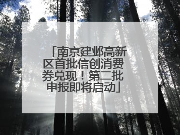 南京建邺高新区首批信创消费券兑现！第二批申报即将启动