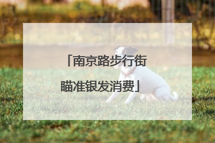 南京路步行街瞄准银发消费